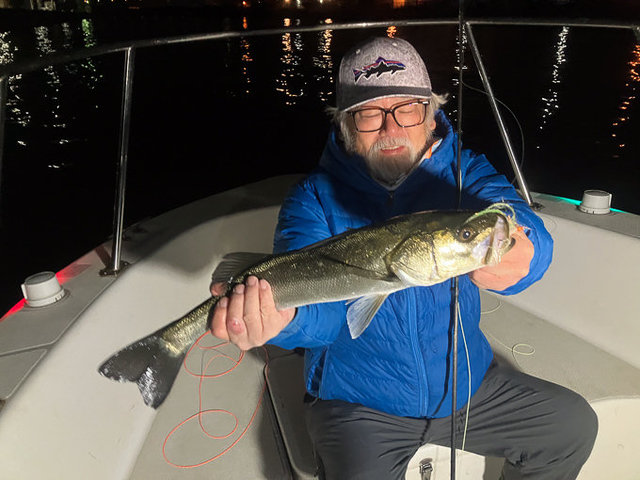 シーバス(スズキ)