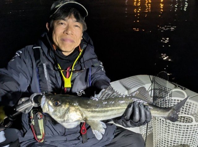 シーバス(スズキ)