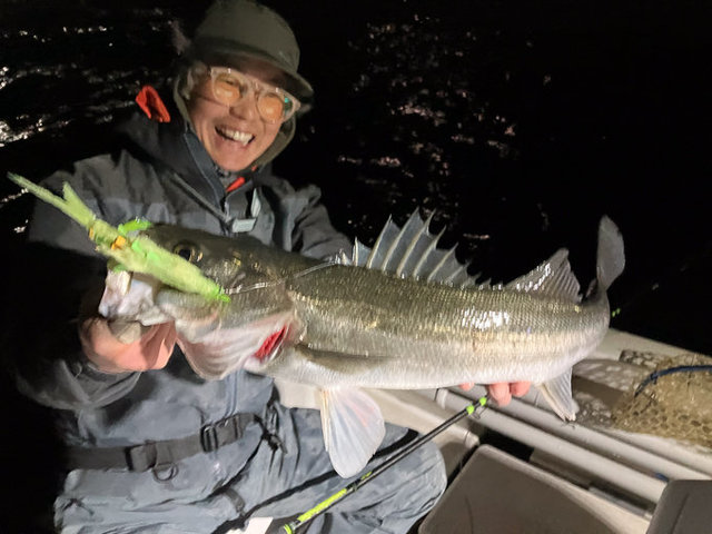 シーバス(スズキ)