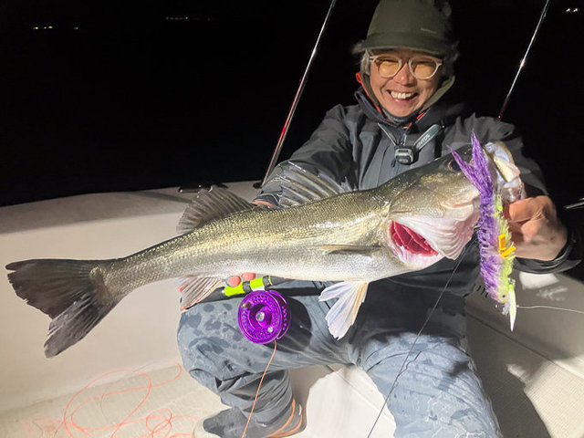 シーバス(スズキ)