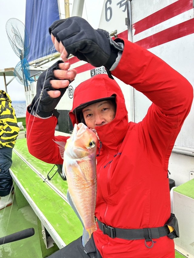 アマダイ(アカアマダイ)