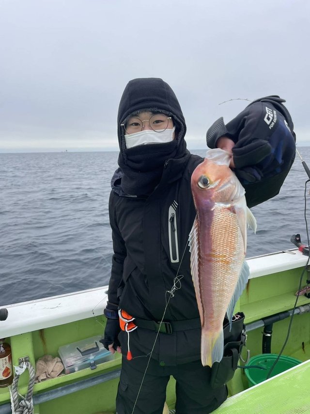 アマダイ(アカアマダイ)