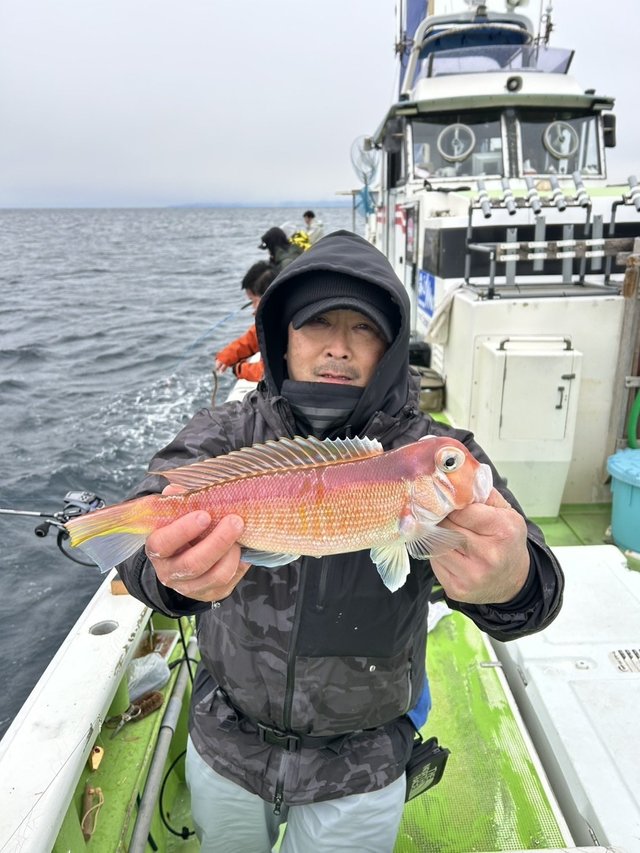 アマダイ(アカアマダイ)