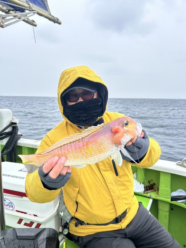 アマダイ(アカアマダイ)