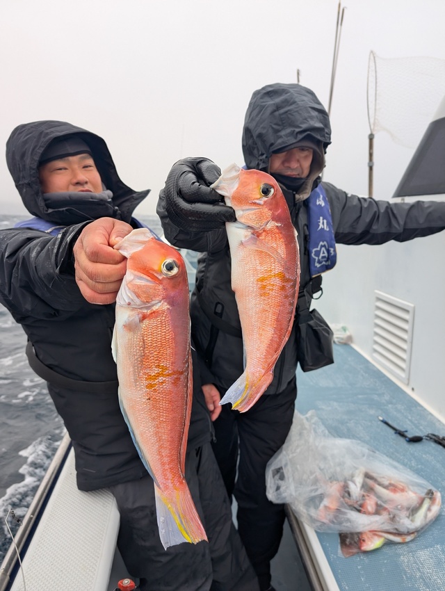 アマダイ(アカアマダイ)