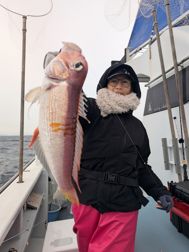 アマダイ(アカアマダイ)