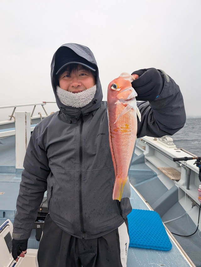 アマダイ(アカアマダイ)