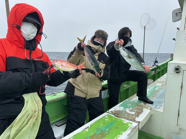 イナダ(ブリ)・アマダイ(アカアマダイ)