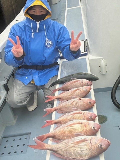 マダイ・イナダ(ブリ)