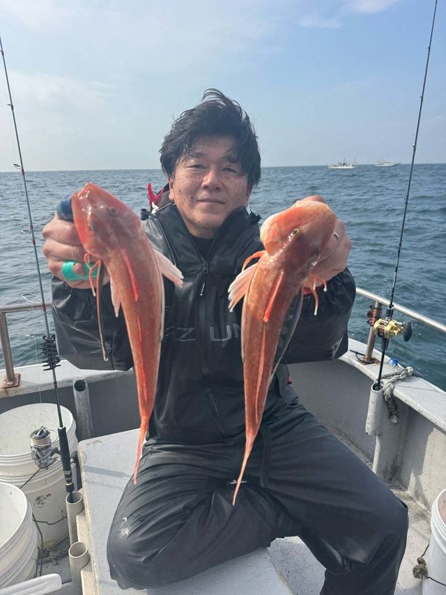 ホウボウ