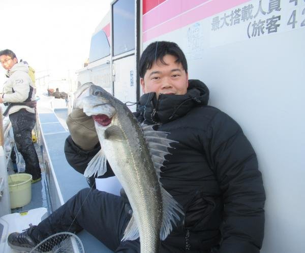 シーバス(スズキ)