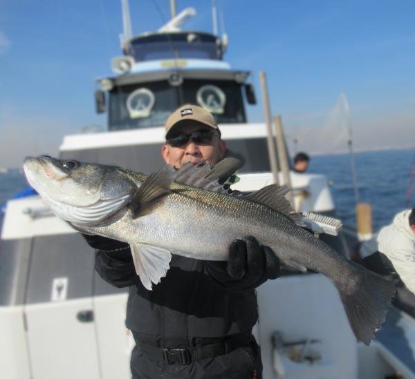 シーバス(スズキ)