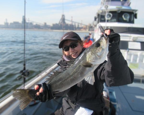 シーバス(スズキ)