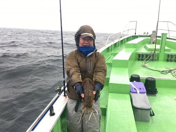 モンゴウ(カミナリイカ)