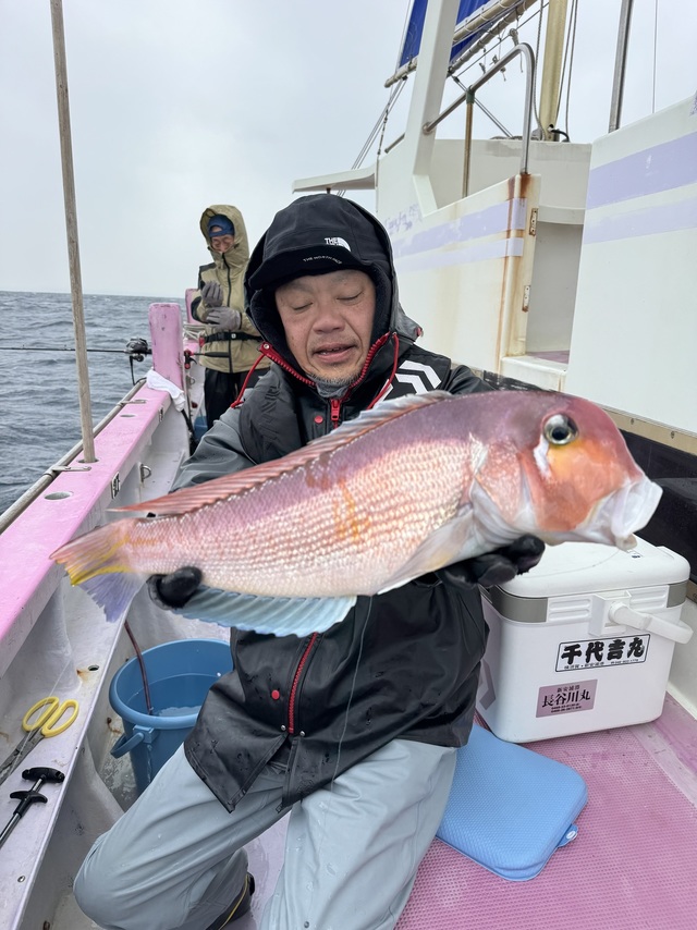 アマダイ(アカアマダイ)