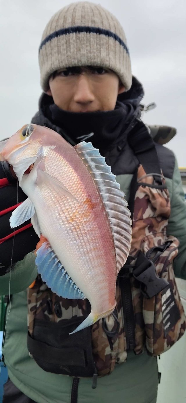 アマダイ(アカアマダイ)