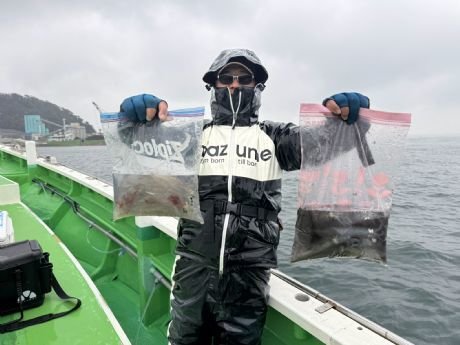 マルイカ(ケンサキイカ)