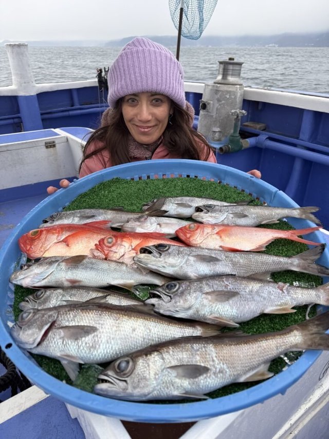 アジ(マアジ)・クロムツ・クロシビ(クロマグロ)・キンメ(キンメダイ)・シロムツ(オオメハタ)