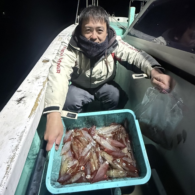 マルイカ(ケンサキイカ)