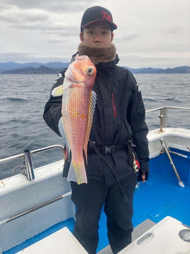 アマダイ(アカアマダイ)