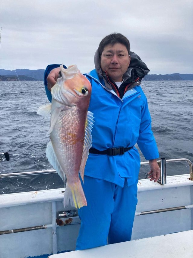 アマダイ(アカアマダイ)