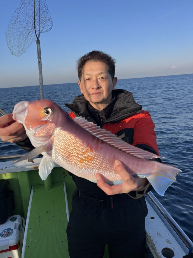 アマダイ(アカアマダイ)