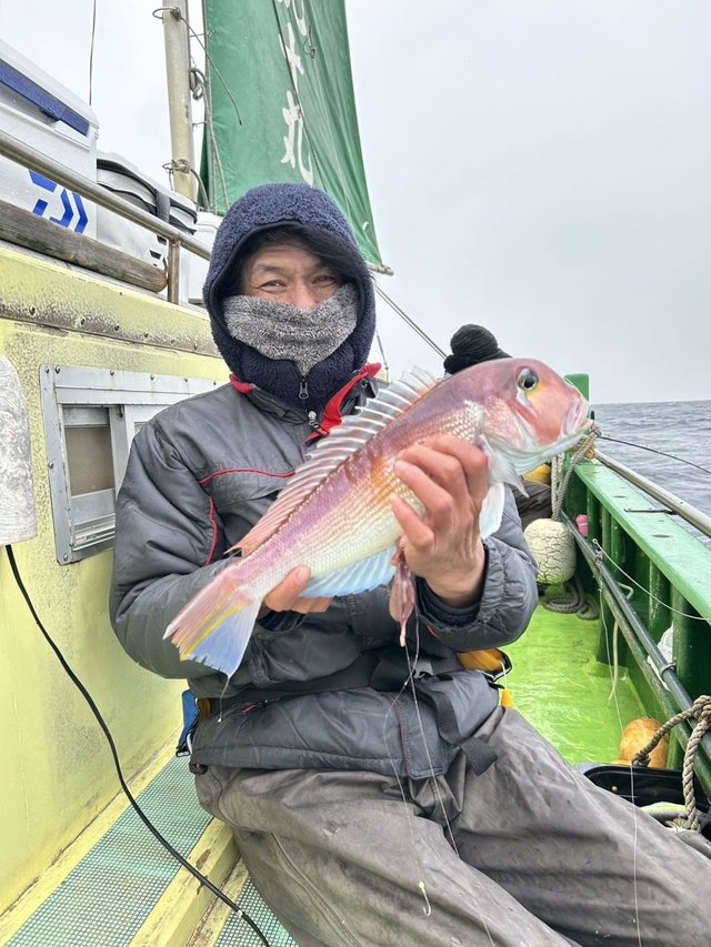 アマダイ(アカアマダイ)