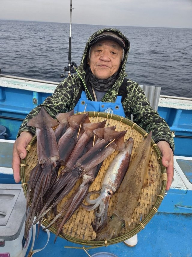 イカ(スルメイカ)