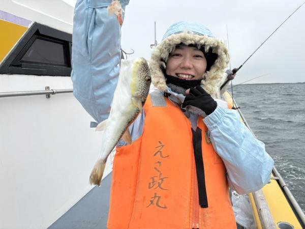 ショウサイフグ