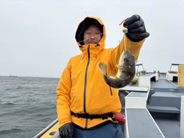 ショウサイフグ