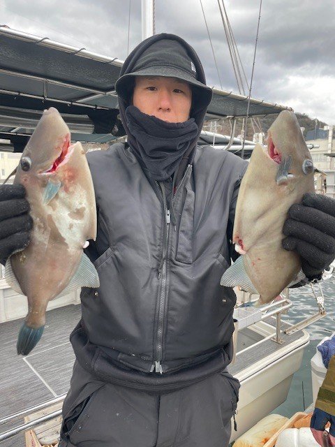 ウマヅラ(ウマヅラハギ)