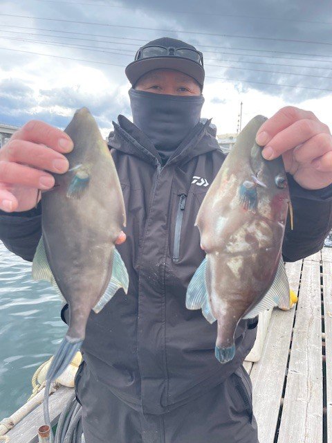 ウマヅラ(ウマヅラハギ)