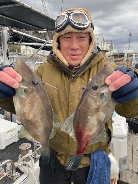 ウマヅラ(ウマヅラハギ)