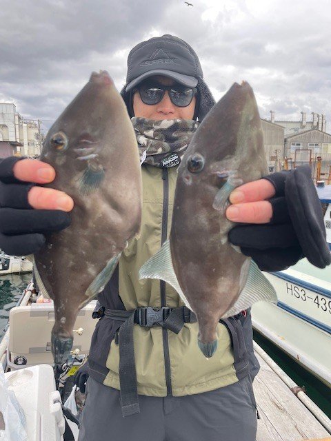 ウマヅラ(ウマヅラハギ)