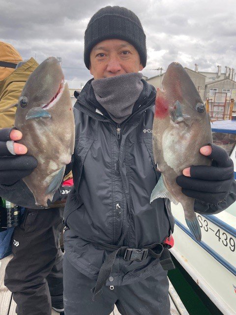 ウマヅラ(ウマヅラハギ)