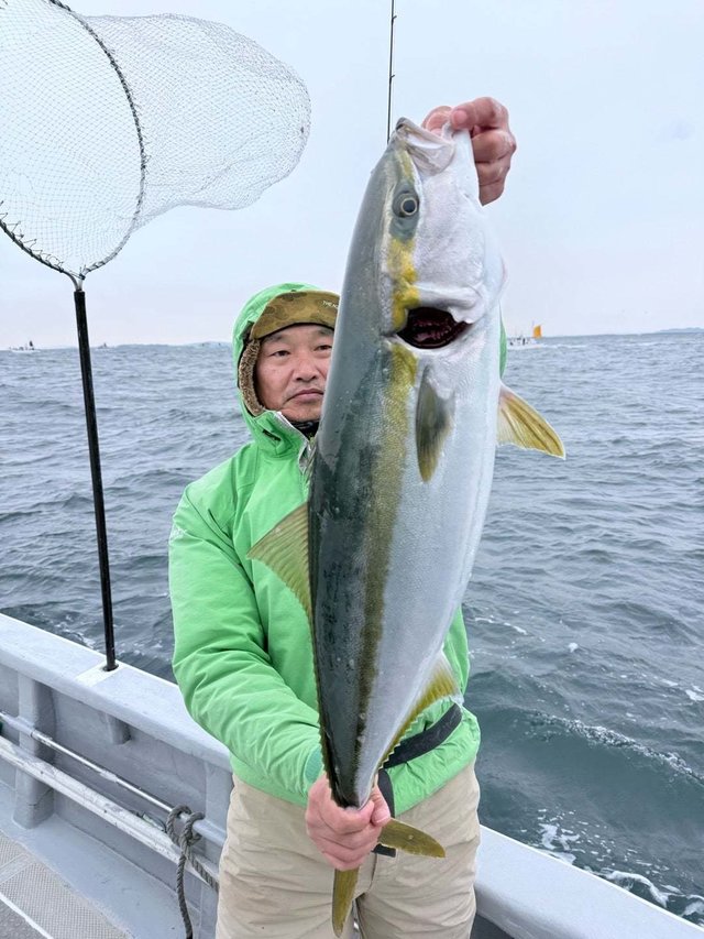 ブリ