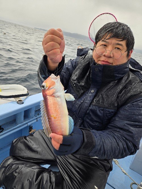 アマダイ(アカアマダイ)