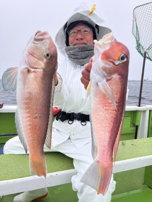 アマダイ(アカアマダイ)