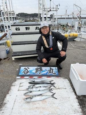 サゴシ(サワラ)・ヤナギ(ウスメバル)