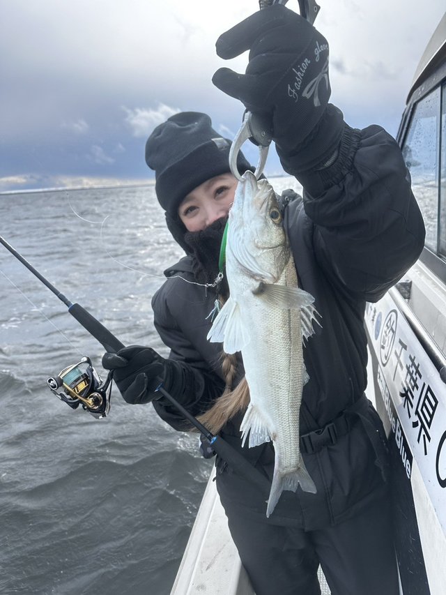 シーバス(スズキ)