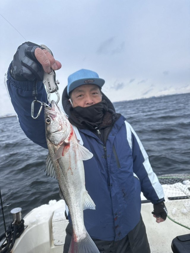 シーバス(スズキ)