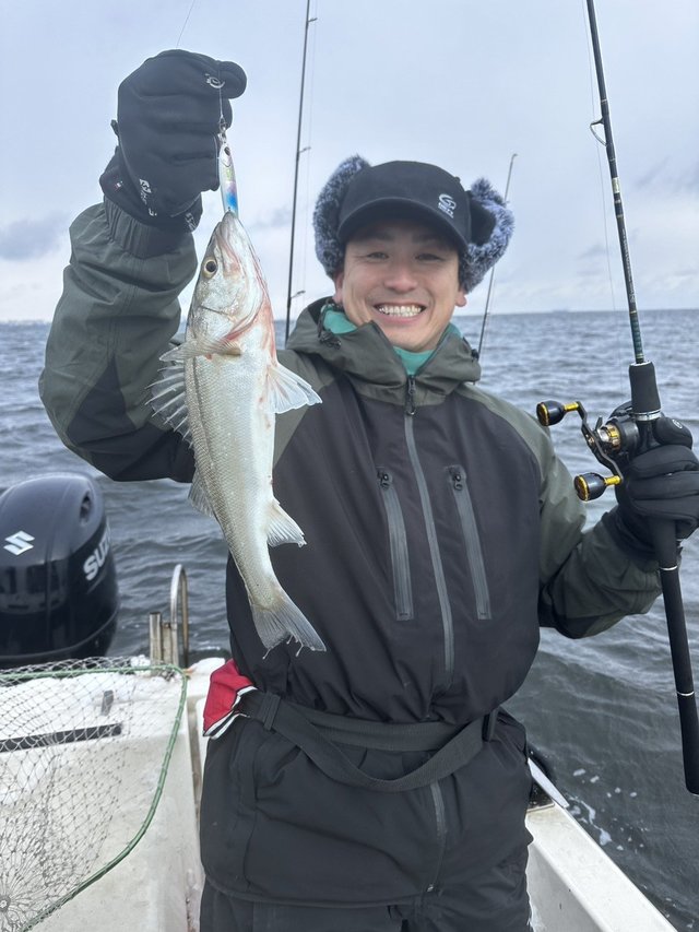 シーバス(スズキ)