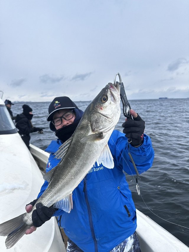 シーバス(スズキ)