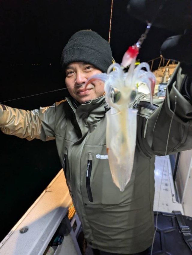 マイカ(ケンサキイカ)