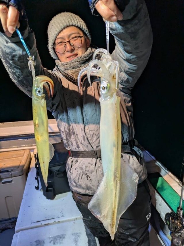 マイカ(ケンサキイカ)