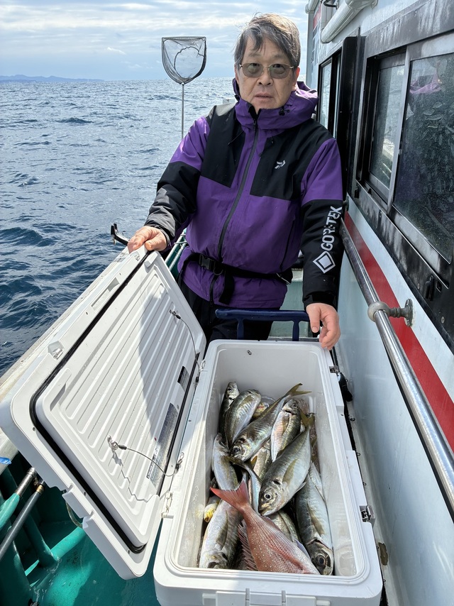 マダイ・マアジ