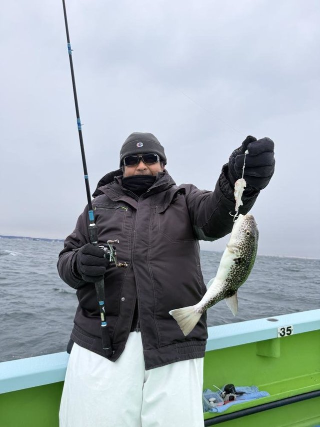 フグ(ショウサイフグ)