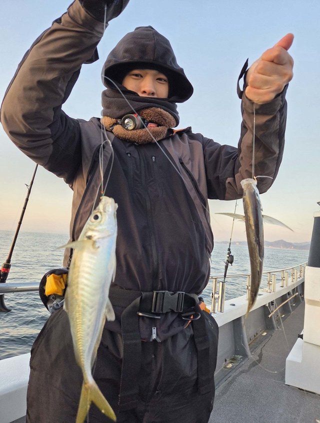 トツカアジ(マアジ)