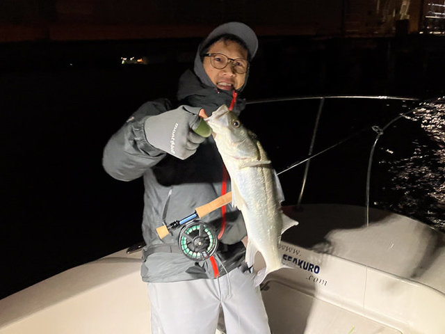 シーバス(スズキ)