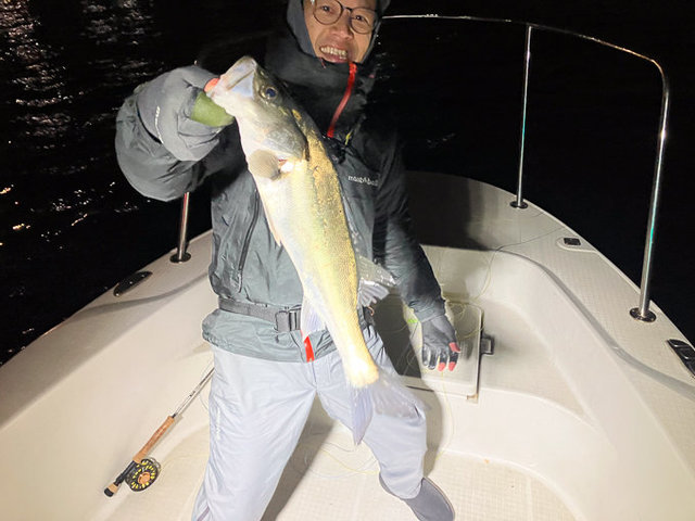 シーバス(スズキ)